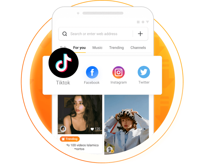 SnapTik: How to Download TikTok Videos HD, Slideshow, Story & Mp3 Without  Watermark - The Daily Guardian